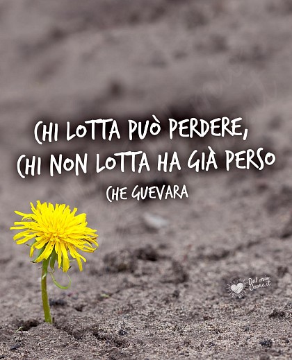 Chi lotta può perdere, chi non lotta ha già perso