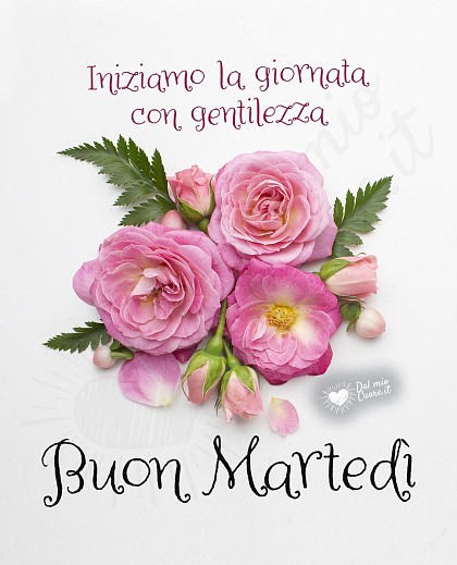 Buon martedì con fiori e gentilezza