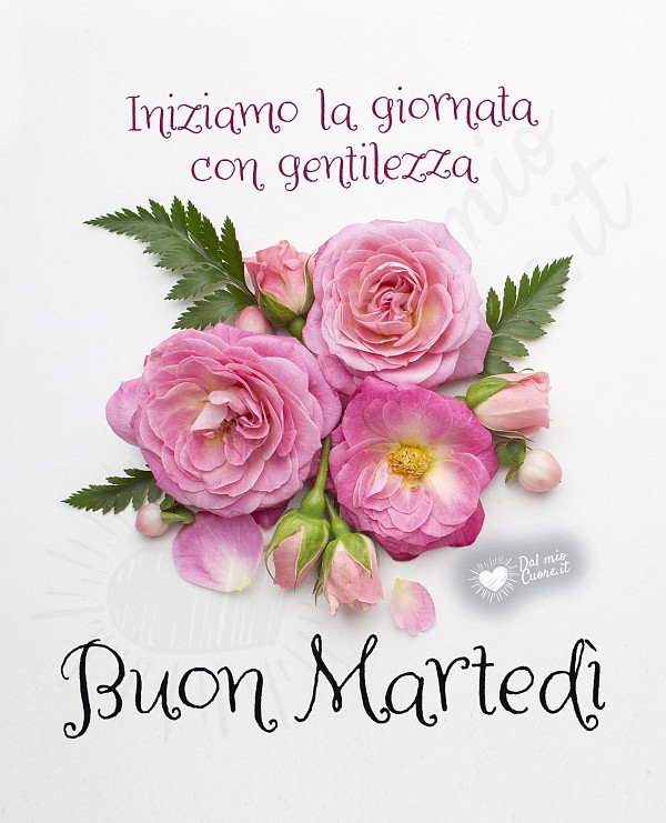 Buon martedì con fiori e gentilezza