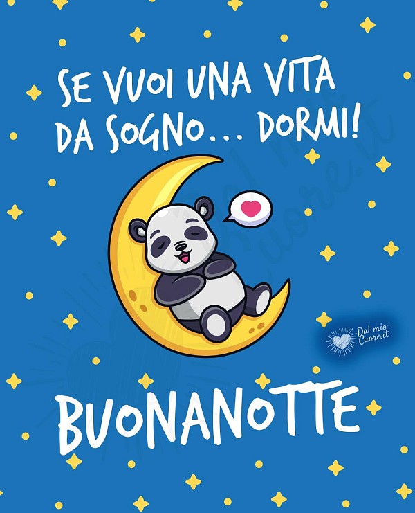 Buonanotte divertente. Se vuoi una vita da sogno... dormi!