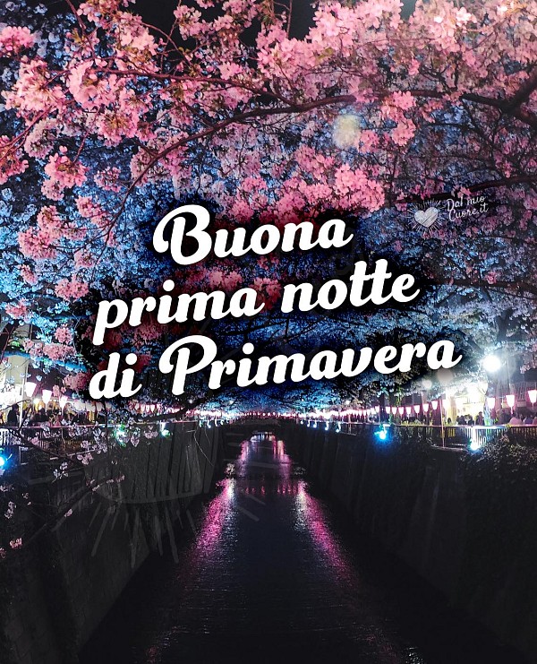 Buona prima notte di primavera