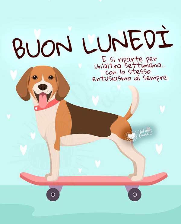 Buon lunedì. E si riparte per un’altra settimana.. con lo stesso entusiasmo di sempre!