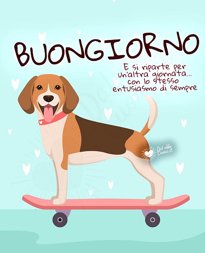 Buongiorno. E si riparte per un’altra giornata... con lo stesso entusiasmo di sempre!