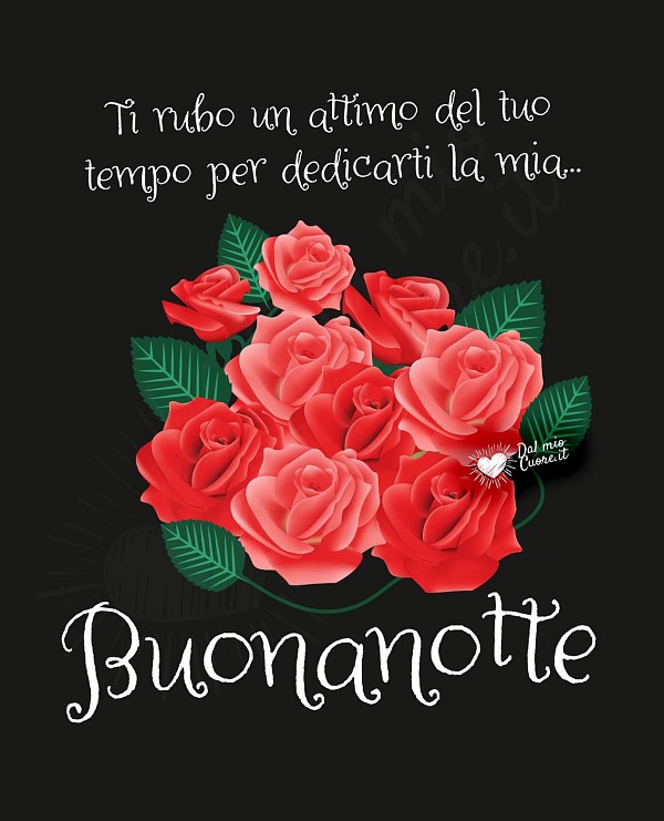 Ti rubo un attimo del tuo tempo per dedicarti la mia... Buonanotte
