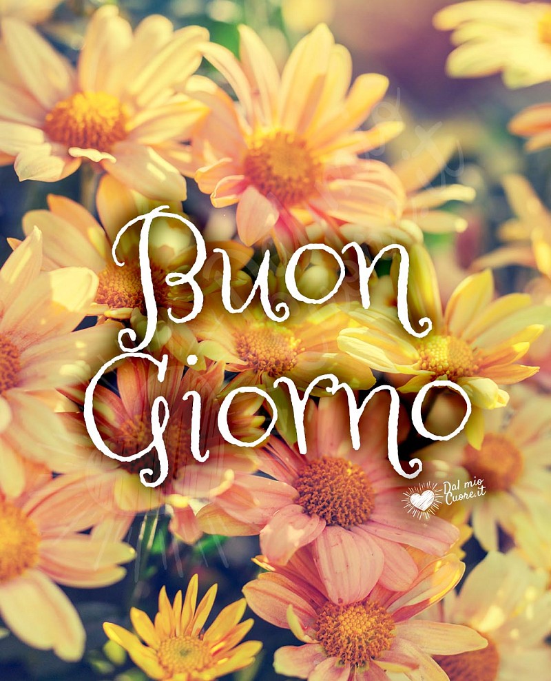 Buon Giorno primaverile con margherite