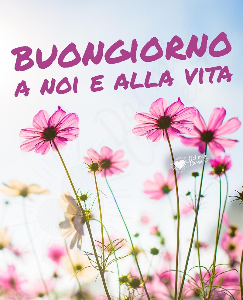 Buongiorno a noi e alla vita (primaverile)