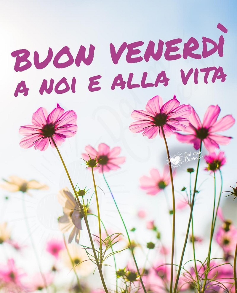Buon Venerdì a noi e alla vita