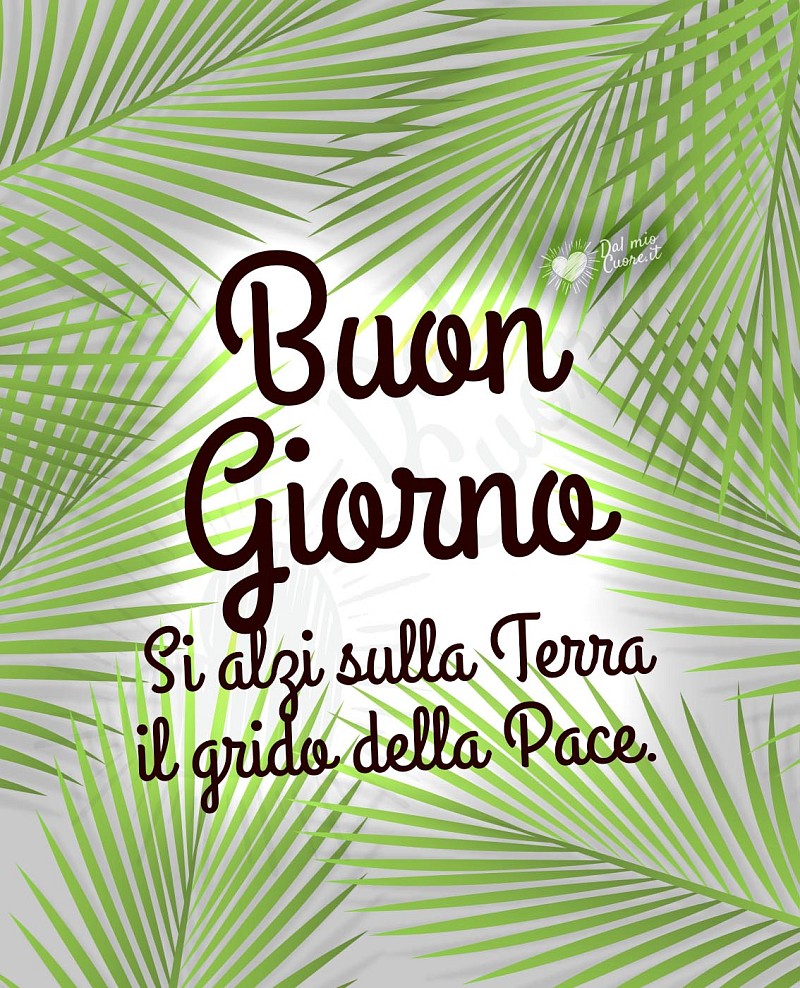 Buongiorno. Si alzi sulla Terra il grido della Pace.