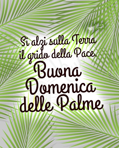Buona Domenica delle Palme. Si alzi sulla Terra il grido della Pace