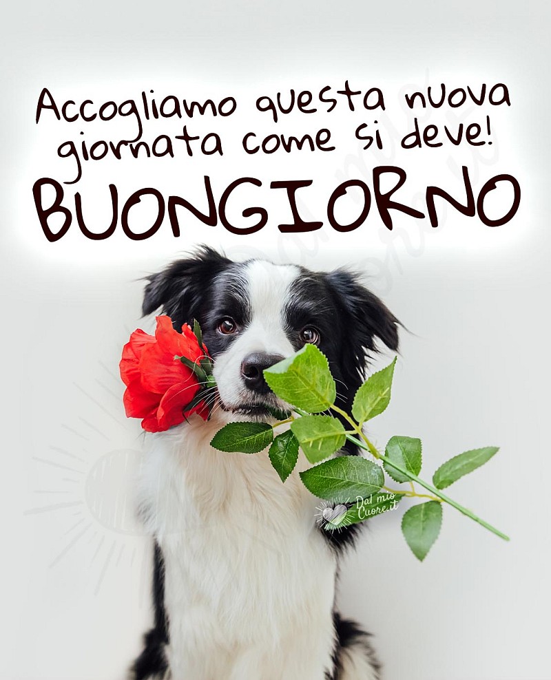 Buongiorno. Accogliamo questa nuova giornata come si deve!
