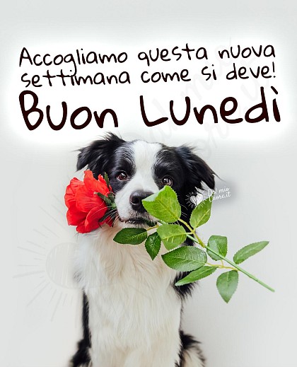 Buon lunedì. Accogliamo questa nuova settimana come si deve!