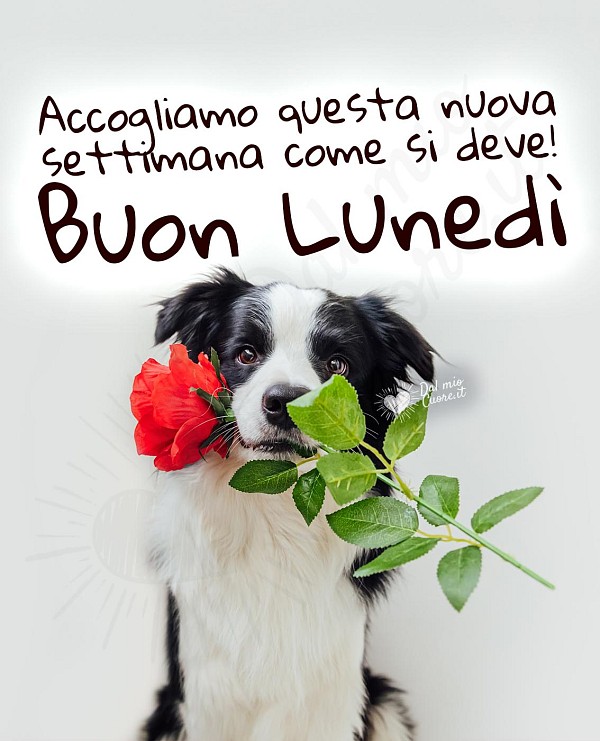 Buon lunedì. Accogliamo questa nuova settimana come si deve!