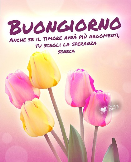Buongiorno, frase sulla speranza con immagine di tulipani