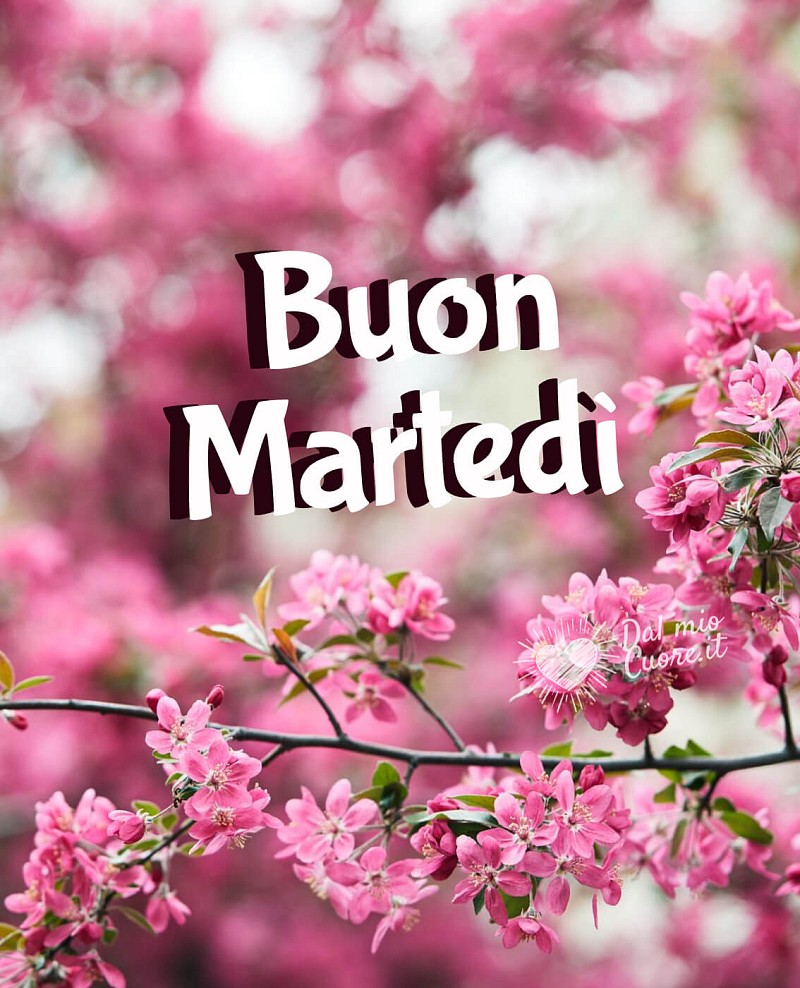 Buon martedì primaverile