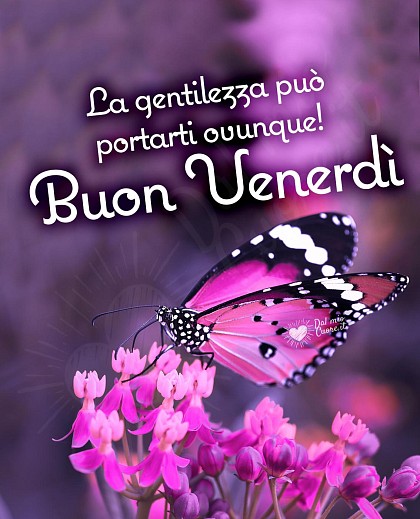 Buon venerdì. La gentilezza può portarti ovunque!