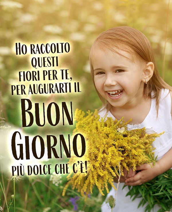 Imm Buongiorno con frase: Ho raccolto questi fiori per te, per salutarti nella maniera più dolce che c’è!