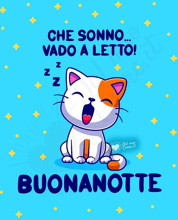 Buonanotte con gattino! Che sonno... vado a letto!