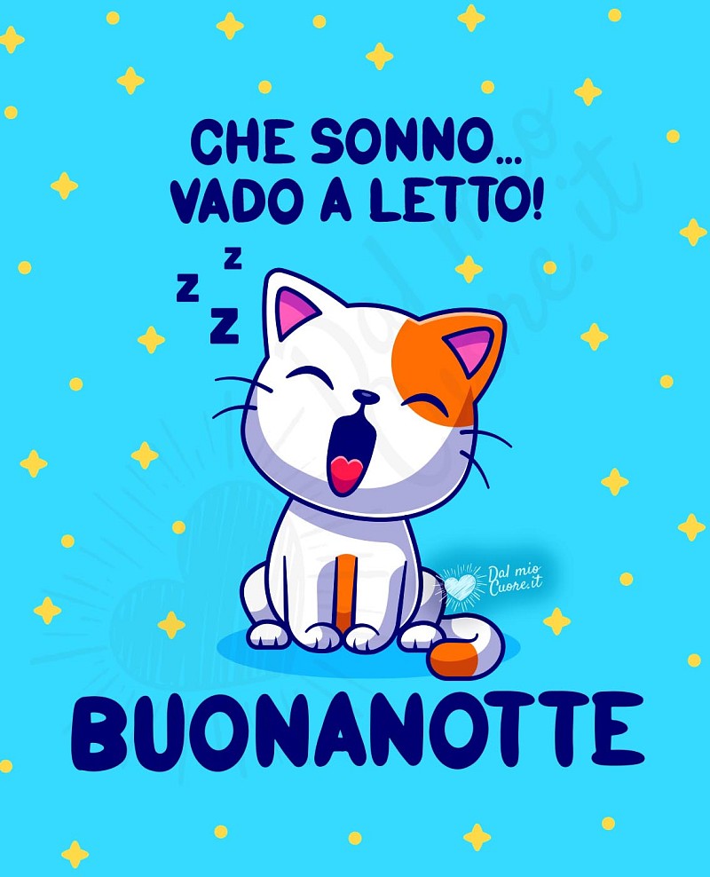 Buonanotte con gattino! Che sonno... vado a letto!