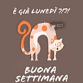 Buon Lunedì