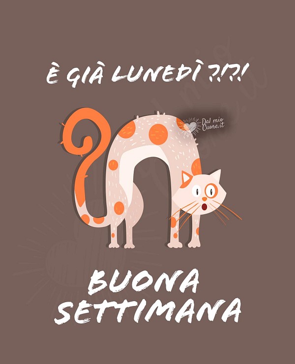 È già lunedì?! Buona Settimana