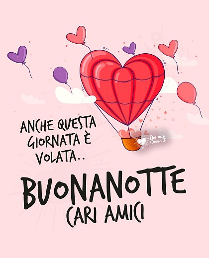 Anche questa giornata è volata... Buonanotte cari amici
