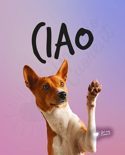 Ciao con Cane