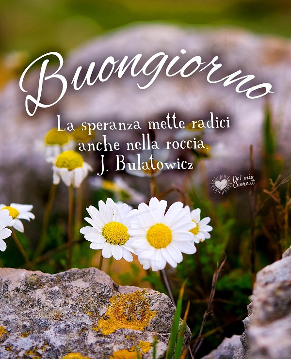 Buongiorno con frase sulla speranza