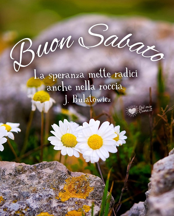 Buon sabato con frase sulla speranza