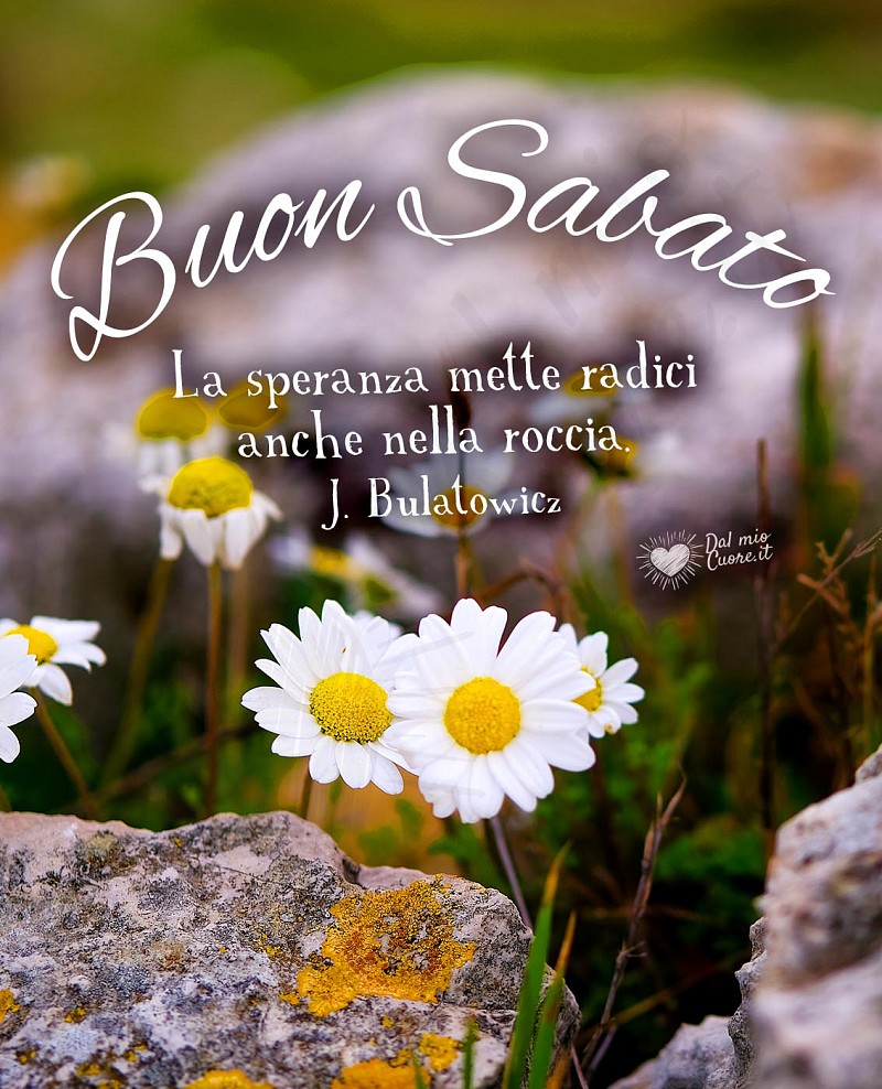 Buon sabato con frase sulla speranza