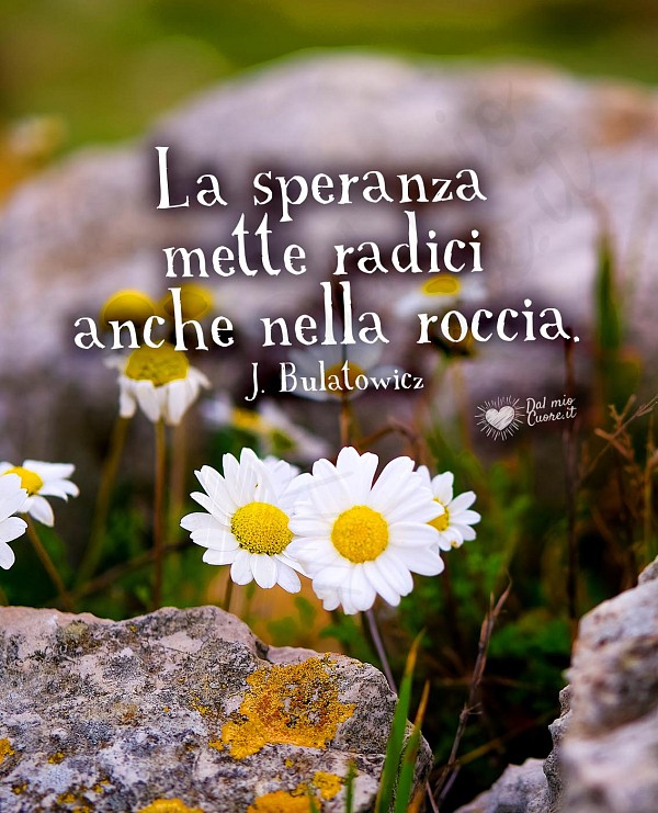 Stato sulla speranza: La speranza mette radici anche nella roccia