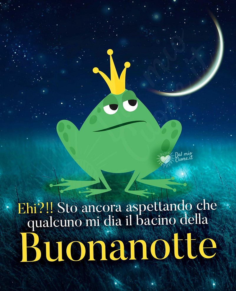 Ehi?!! Sto ancora aspettando che qualcuno mi dia il bacino della Buonanotte! (Divertente)
