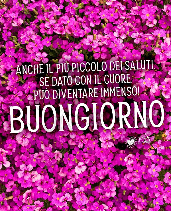 Buongiorno (frasi). Anche il più piccolo dei saluti, se dato con il cuore, può diventare immenso!