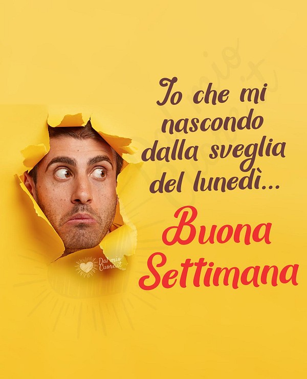 Io che mi nascondo dalla sveglia del lunedì... Buona Settimana