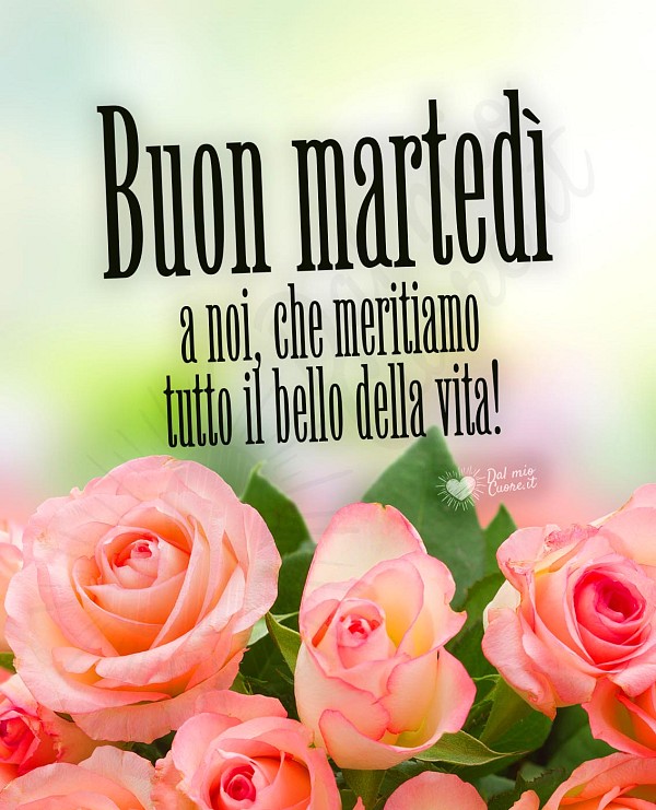 Buon martedì a noi, che meritiamo tutto il bello della vita!