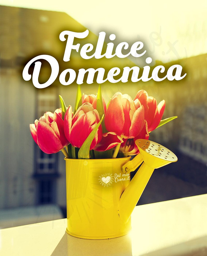 Felice domenica con cuori