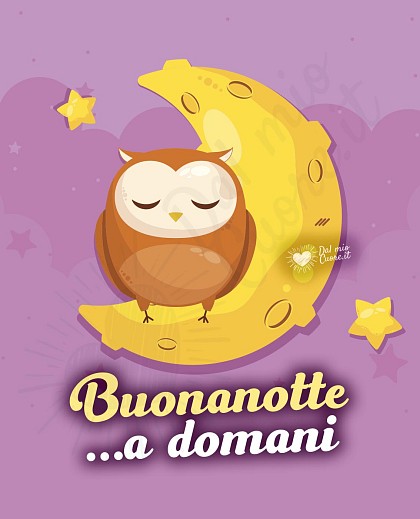 Buonanotte a domani, con gufetto e luna