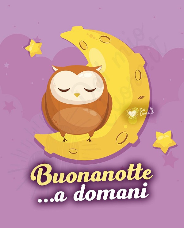 Buonanotte a domani, con gufetto e luna
