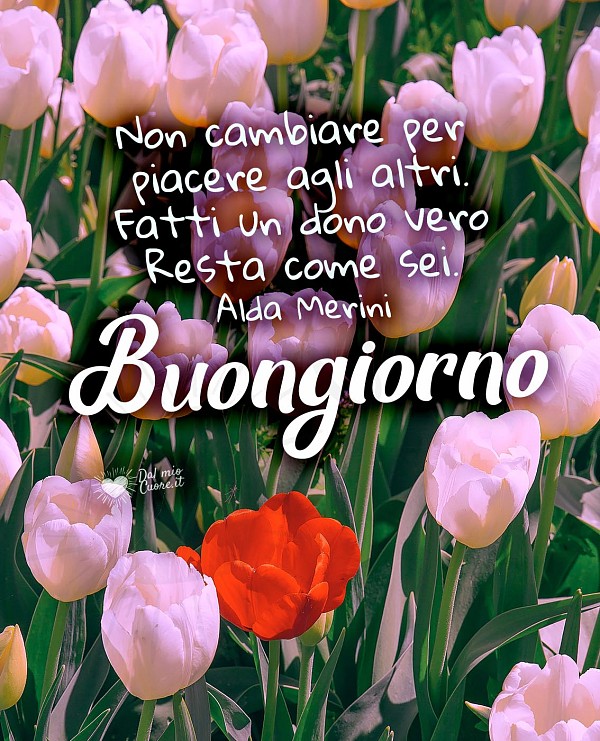 Buongiorno con fiori e frase di Alda Merini:... Resta come sei.
