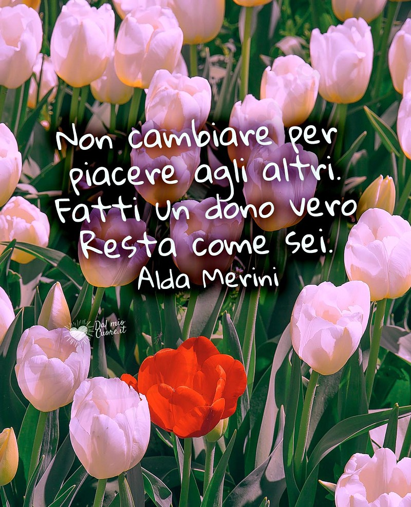 Stato di WhatsApp con frase di Alda Merini: Non cambiare per piacere agli altri. Fatti un dono vero Resta come sei.