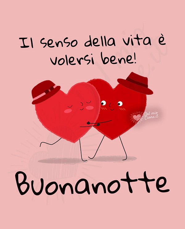 Buonanotte. Il senso della vita è volersi bene!