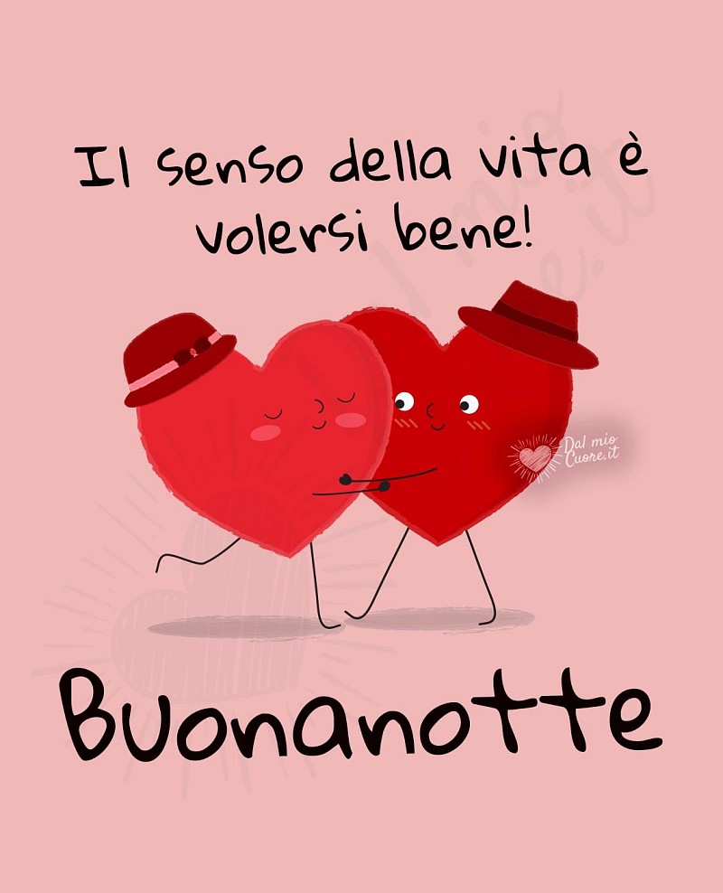 Buonanotte. Il senso della vita è volersi bene!
