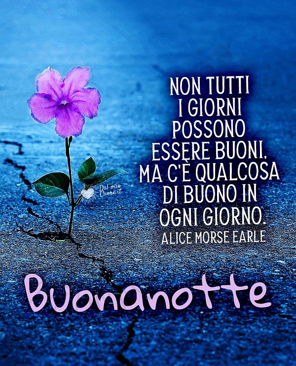 Buonanotte con frase. Non tutti i giorni possono essere buoni, ma c'è qualcosa di buono in ogni giorno.
