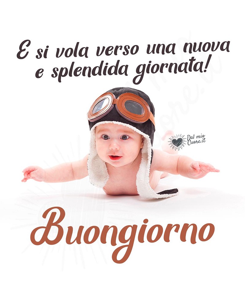 Buongiorno divertente. E si vola verso una nuova e splendida giornata!