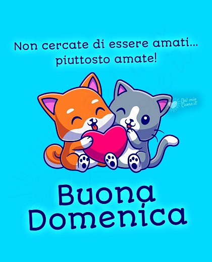 Buona domenica con frase sull'amore