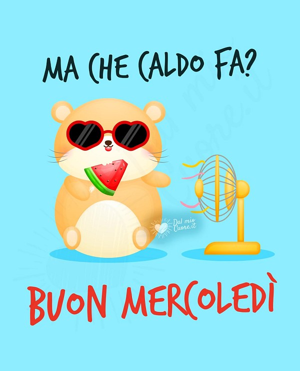 Buon mercoledì divertente con cricetino che sente caldo