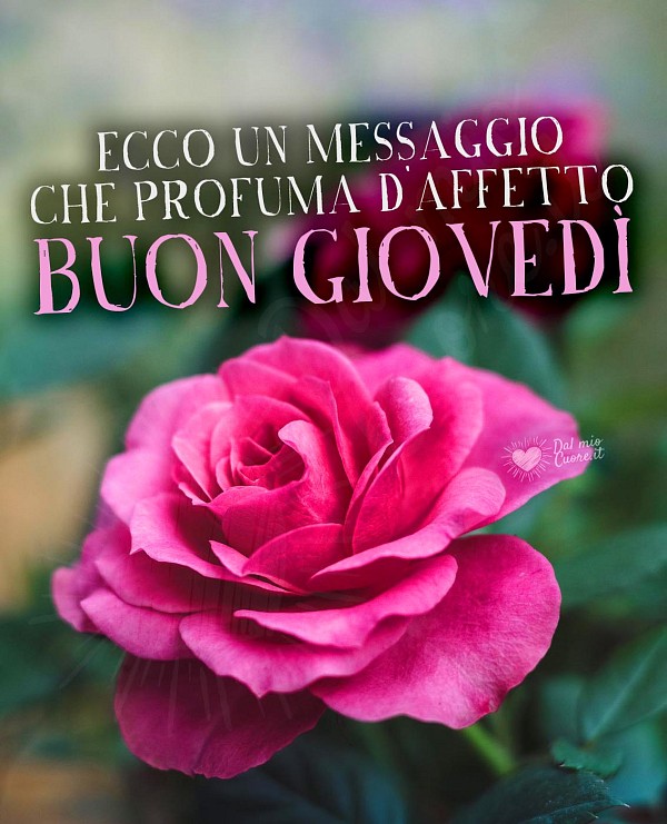 Ecco un messaggio che profuma d'affetto. Buon giovedì