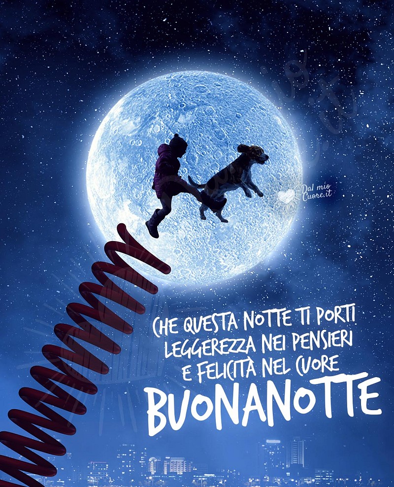 Buonanotte. Che questa notte ti porti leggerezza nei pensieri e felicità nel cuore