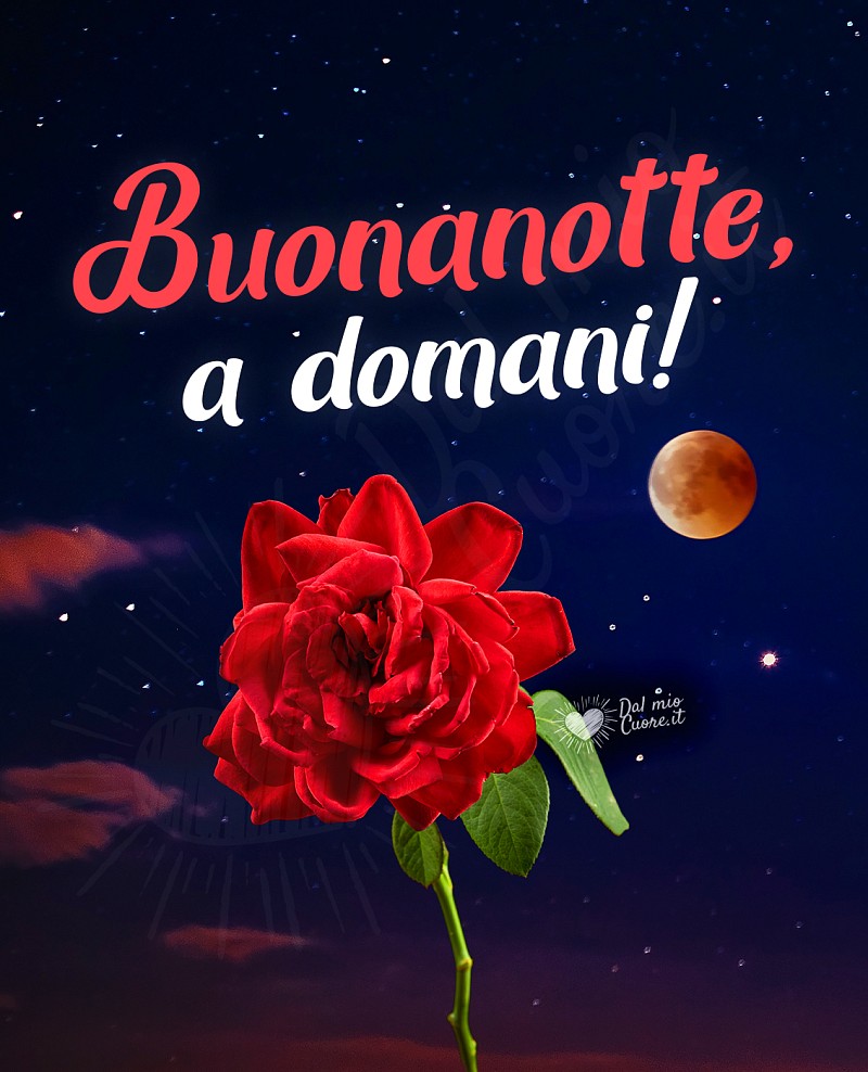 Buonanotte, a domani! Con rosa e luna
