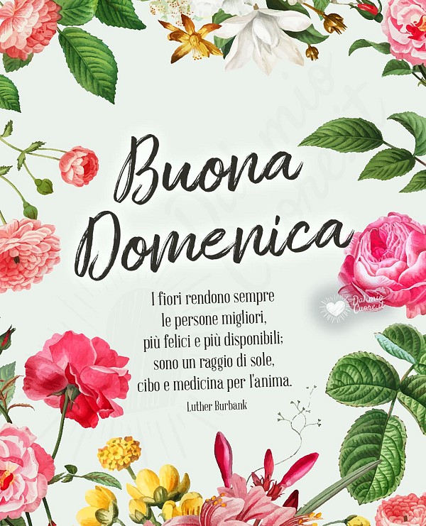 Buona domenica con frase sui fiori