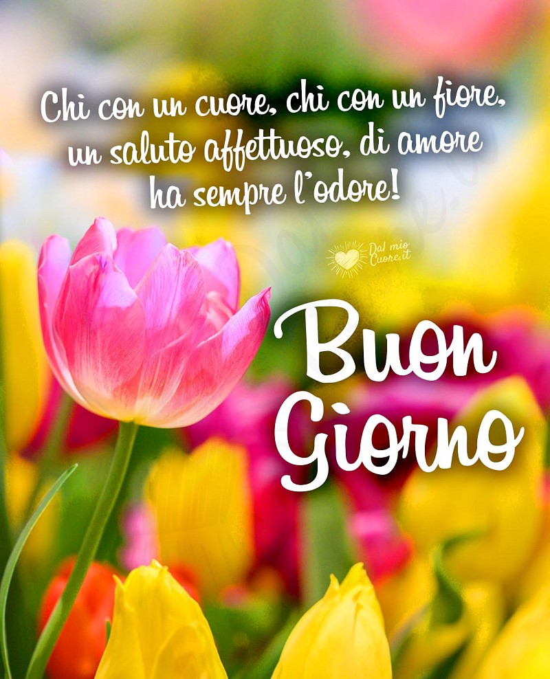 Chi con un cuore, chi con un fiore, un saluto affettuoso, di amore ha sempre l’odore!